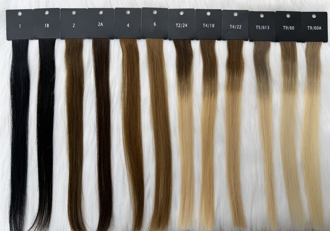 Color Chart